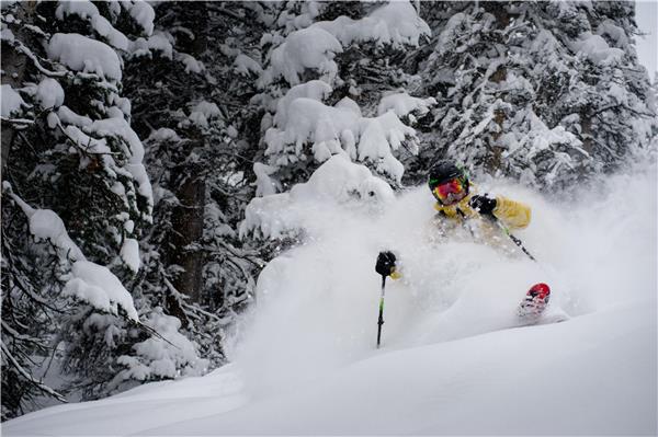 GRAND HYATT DEER VALLEY - Photo 8