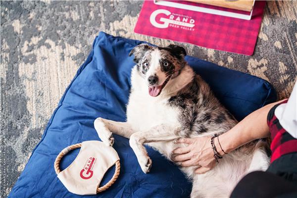 GRAND HYATT DEER VALLEY - Photo 49