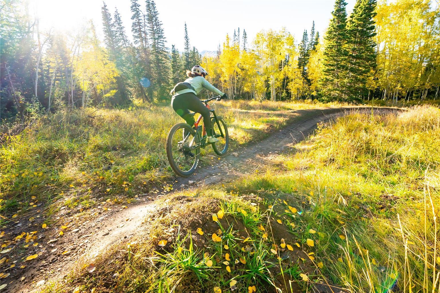 GRAND HYATT DEER VALLEY - Photo 14