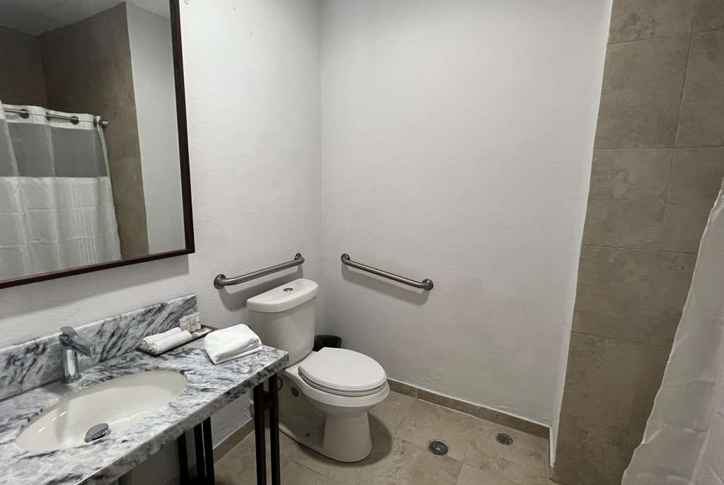 LA QUINTA BY WYNDHAM REYNOSA-guestroom-Guest Room,Bathroom,Accessibility,On-Site.jpg