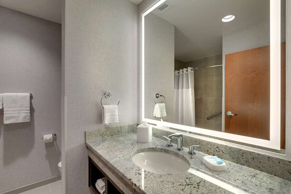 Drury Plaza Hotel Cincinnati Florence-guestroom-Guest Room,Bathroom,On-Site.jpg