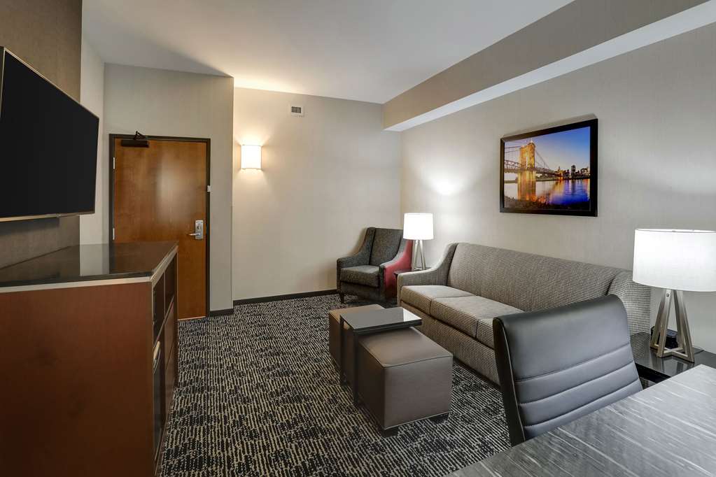 Drury Plaza Hotel Cincinnati Florence-guestroom-Guest Room,On-Site.jpg