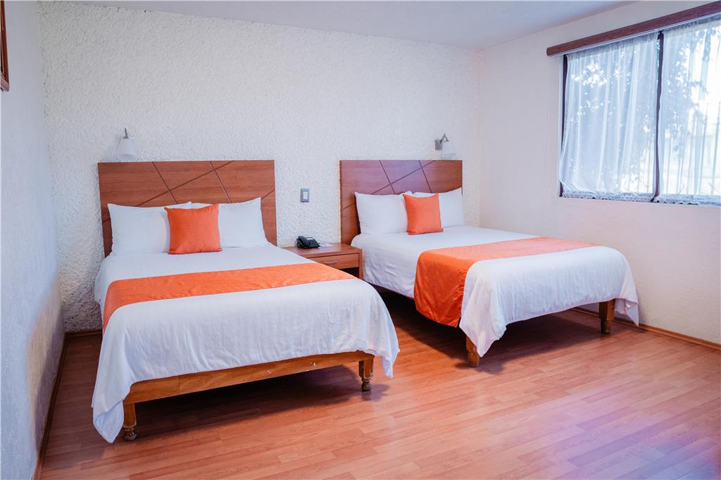 HOTEL DEL ANGEL APIZACO-guestroom-Guest Room,On-Site.jpg