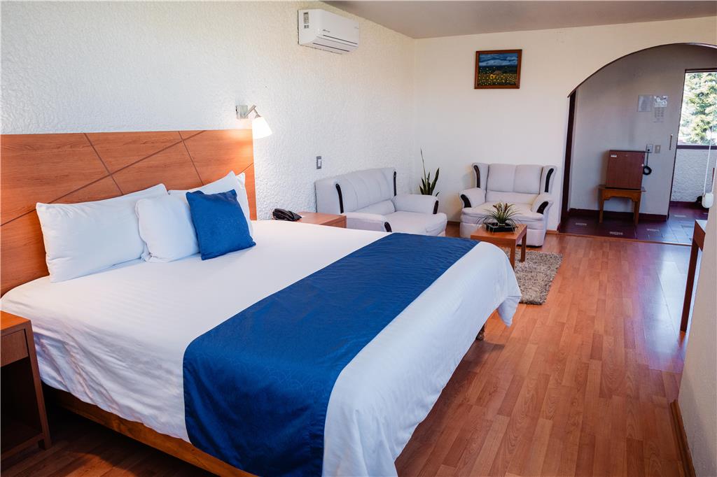 HOTEL DEL ANGEL APIZACO-guestroom-Guest Room,Suite,On-Site.jpg