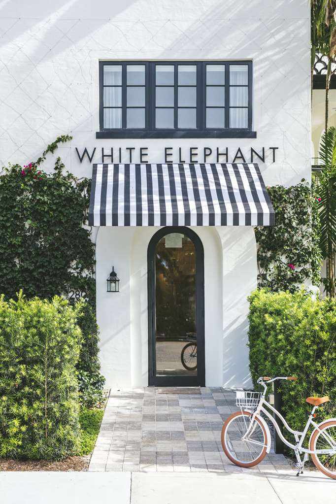 Guest photo
