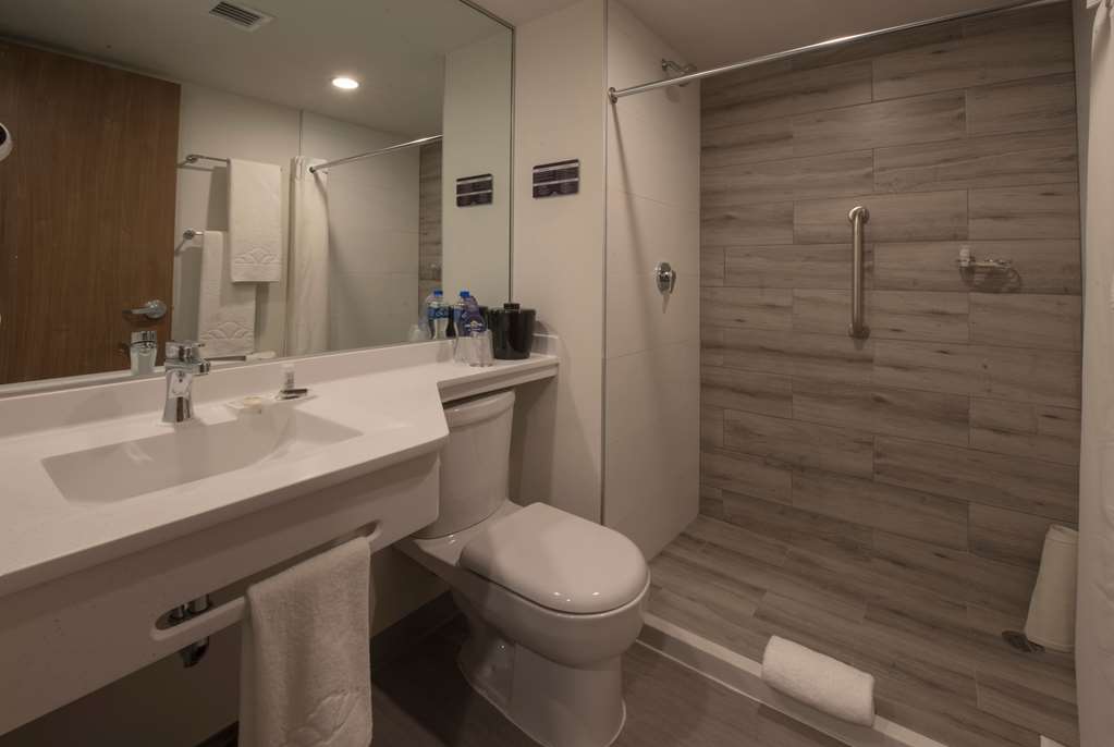 MICROTEL INN & SUITES BY WYNDHAM IR-guestroom-Guest Room,Bathroom,On-Site.jpg
