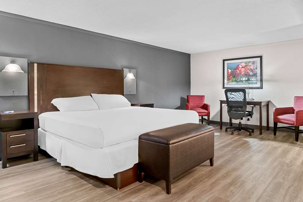 RODEWAY INN AND SUITES-guestroom-Guest Room,Suite,On-Site.jpg