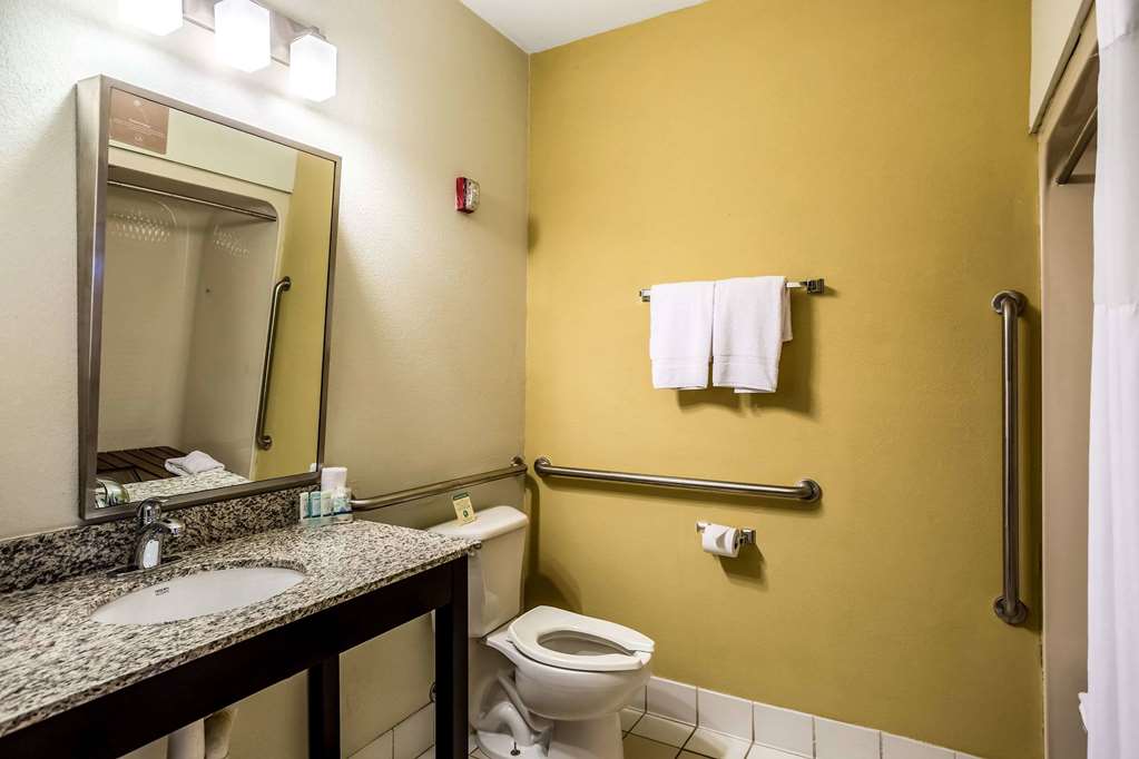 WINGATE BY WYNDHAM OWENSBORO-guestroom-Guest Room,Bathroom,Accessibility,On-Site.jpg