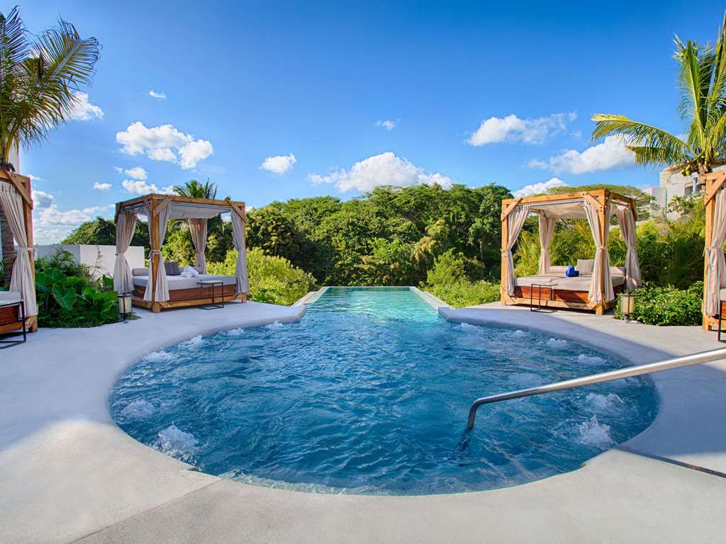 Armony Resort & Spa All Inclusive Adults Only future MGallery - Tap to explore photos