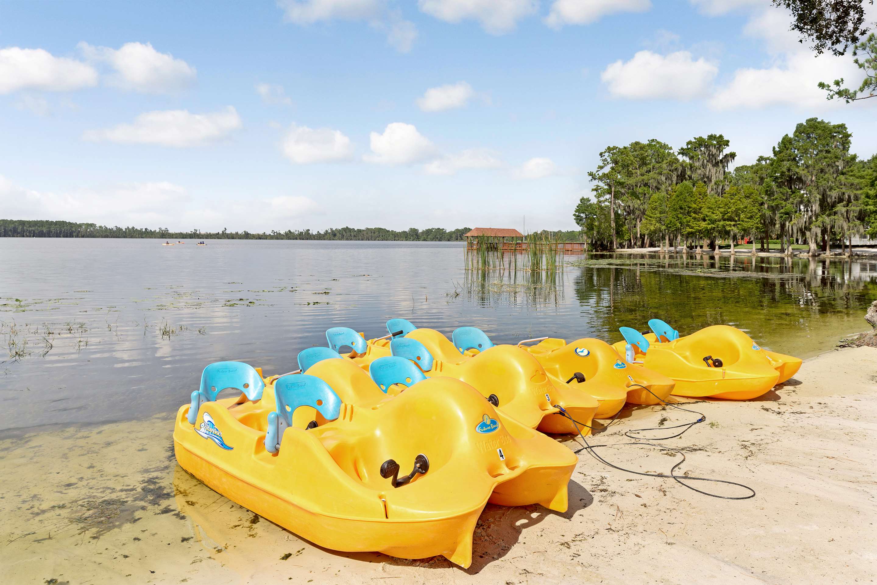 Beach | Hilton Vacation Club Grand Beach Orlando