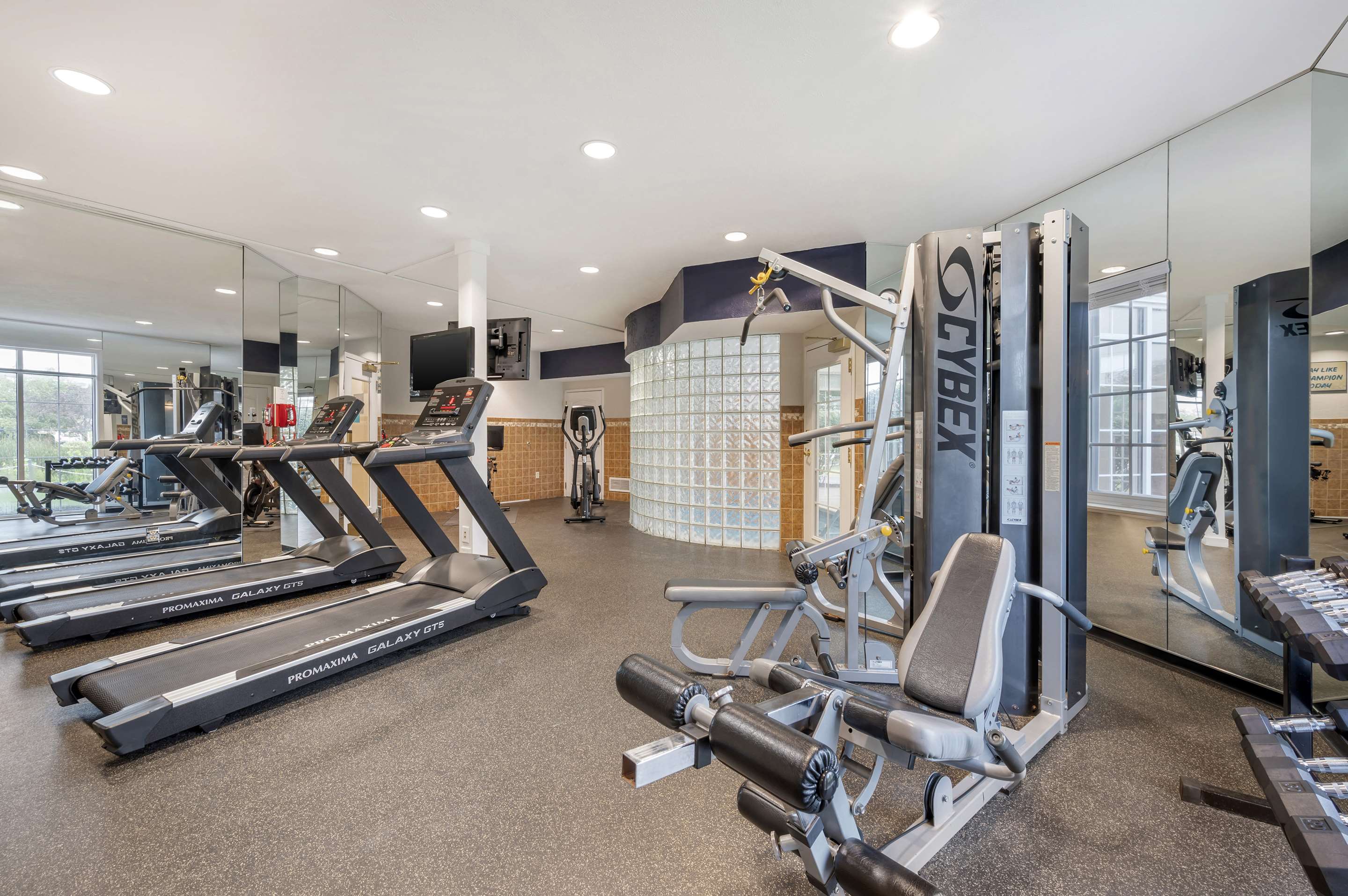 Health club fitness center gym