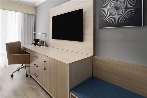 1 King Bed, Mobility/Hearing Accessible Room, Roll-In Shower, First Floor, NSMK