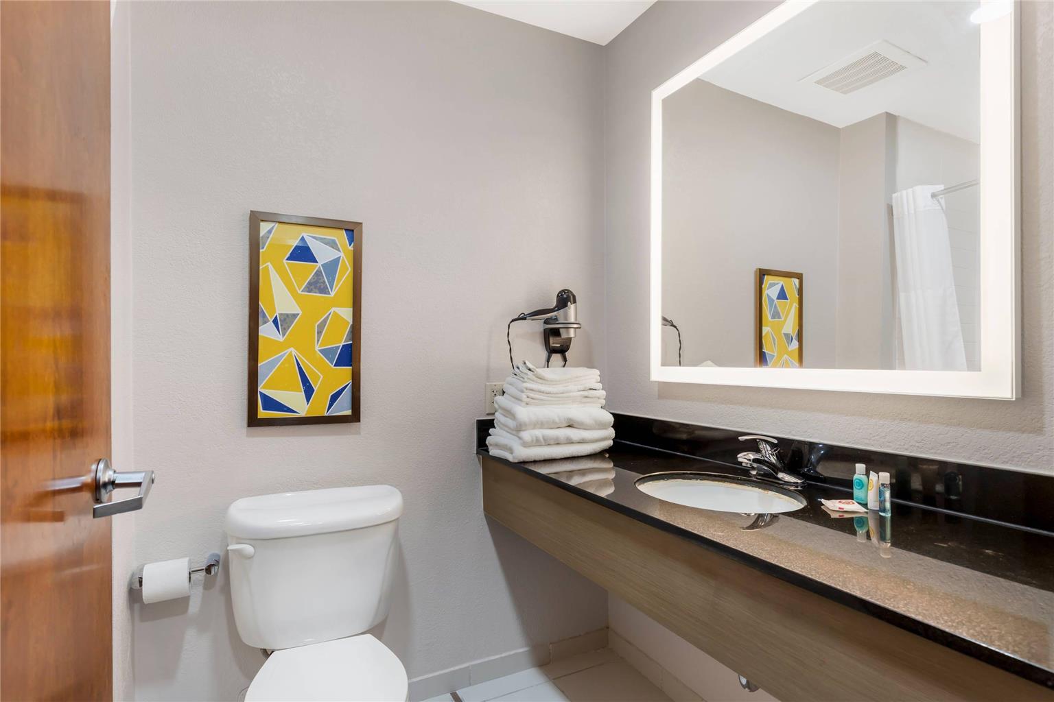 COMFORT INN AND SUITES WATERVLIET-guestroom-Guest Room,Bathroom,On-Site.jpg