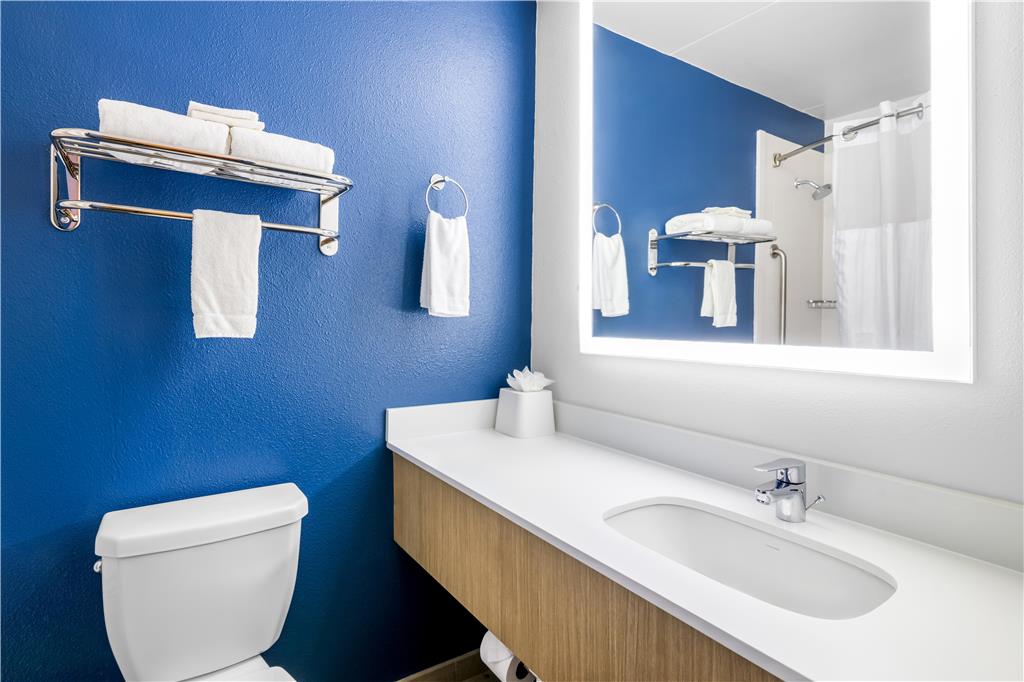 SPARK BYHILTON ROANOKE CIVIC CENTER-guestroom-Guest Room,Bathroom,On-Site.jpg