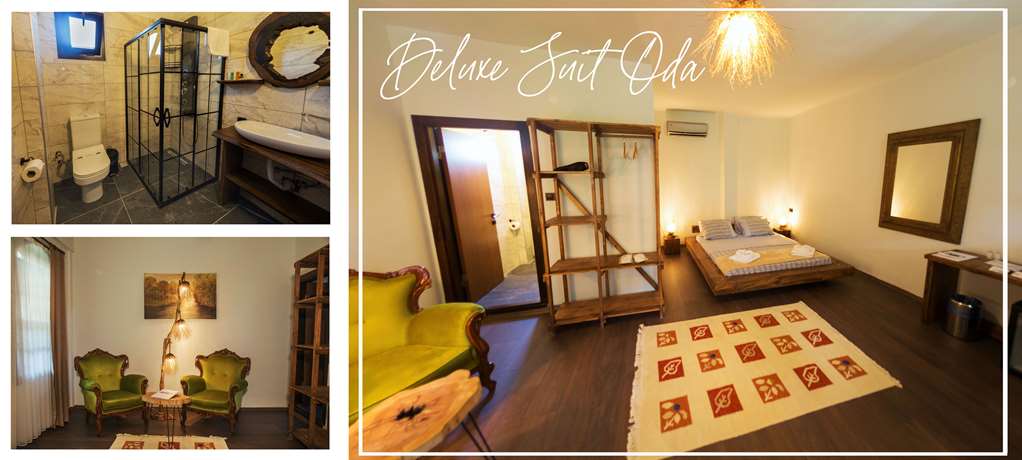MANASTIRHAN OTEL KAZDALARI-guestroom-Guest Room,On-Site.jpg