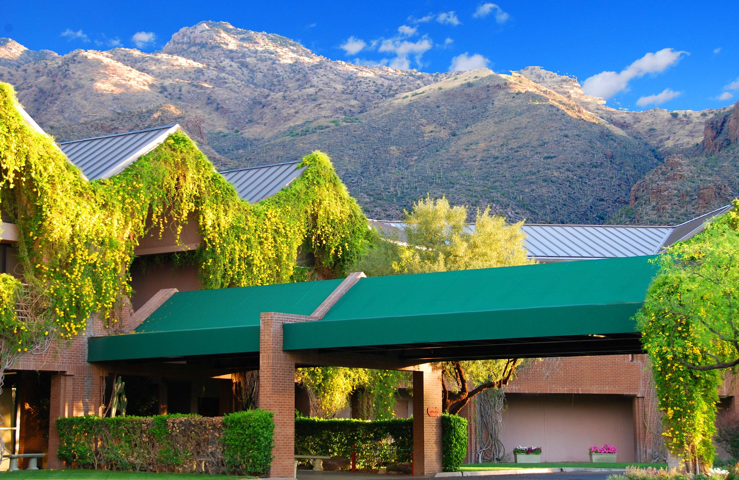 Front Entrance | The Lodge at Ventana Canyon