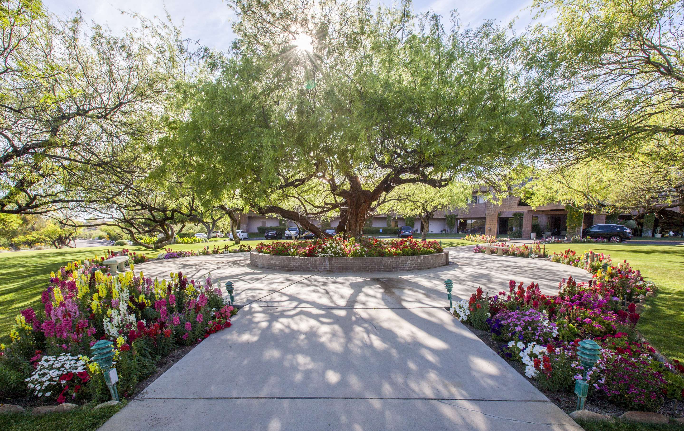 Front Entrance | The Lodge at Ventana Canyon