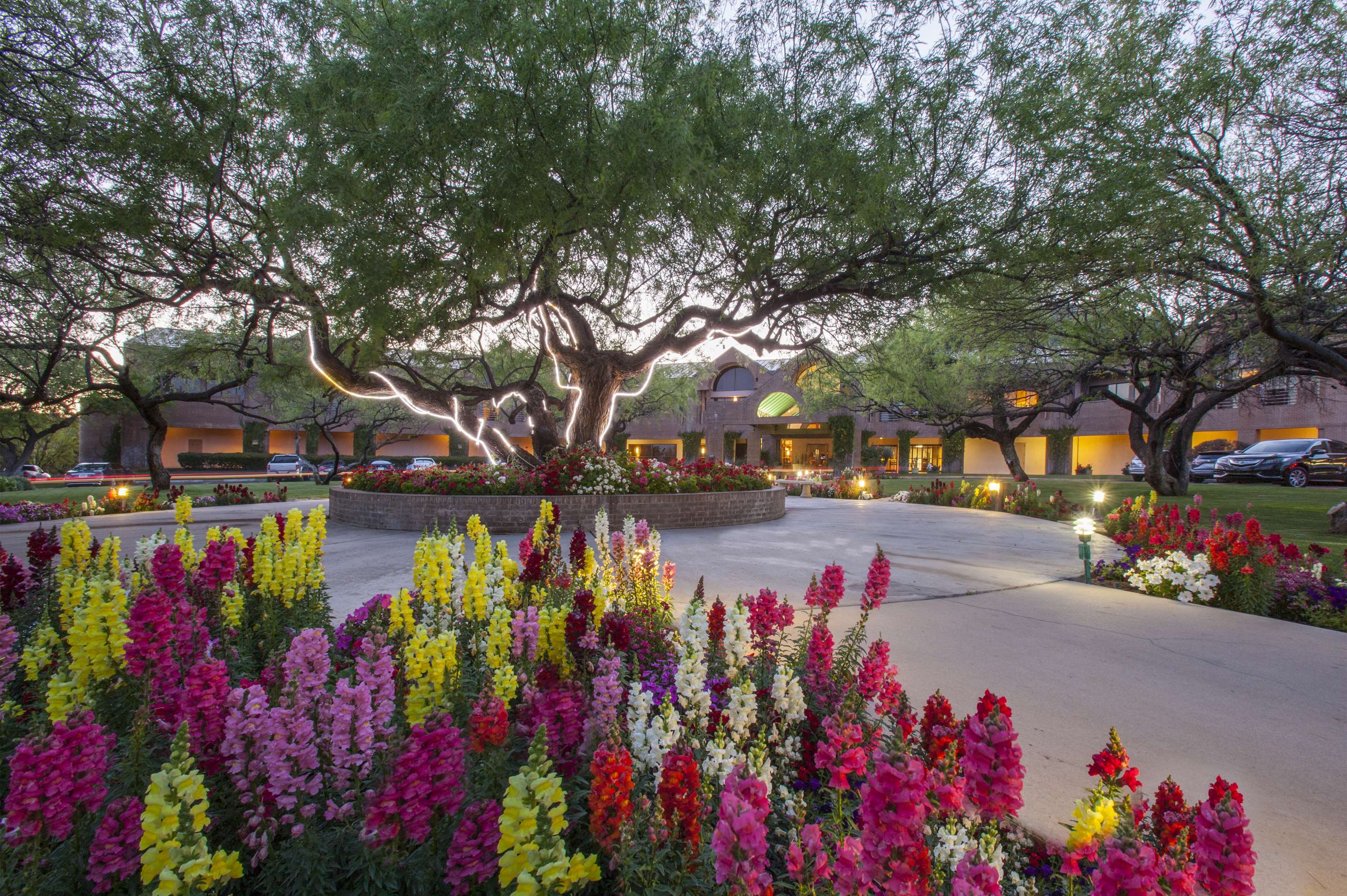 Front Entrance | The Lodge at Ventana Canyon