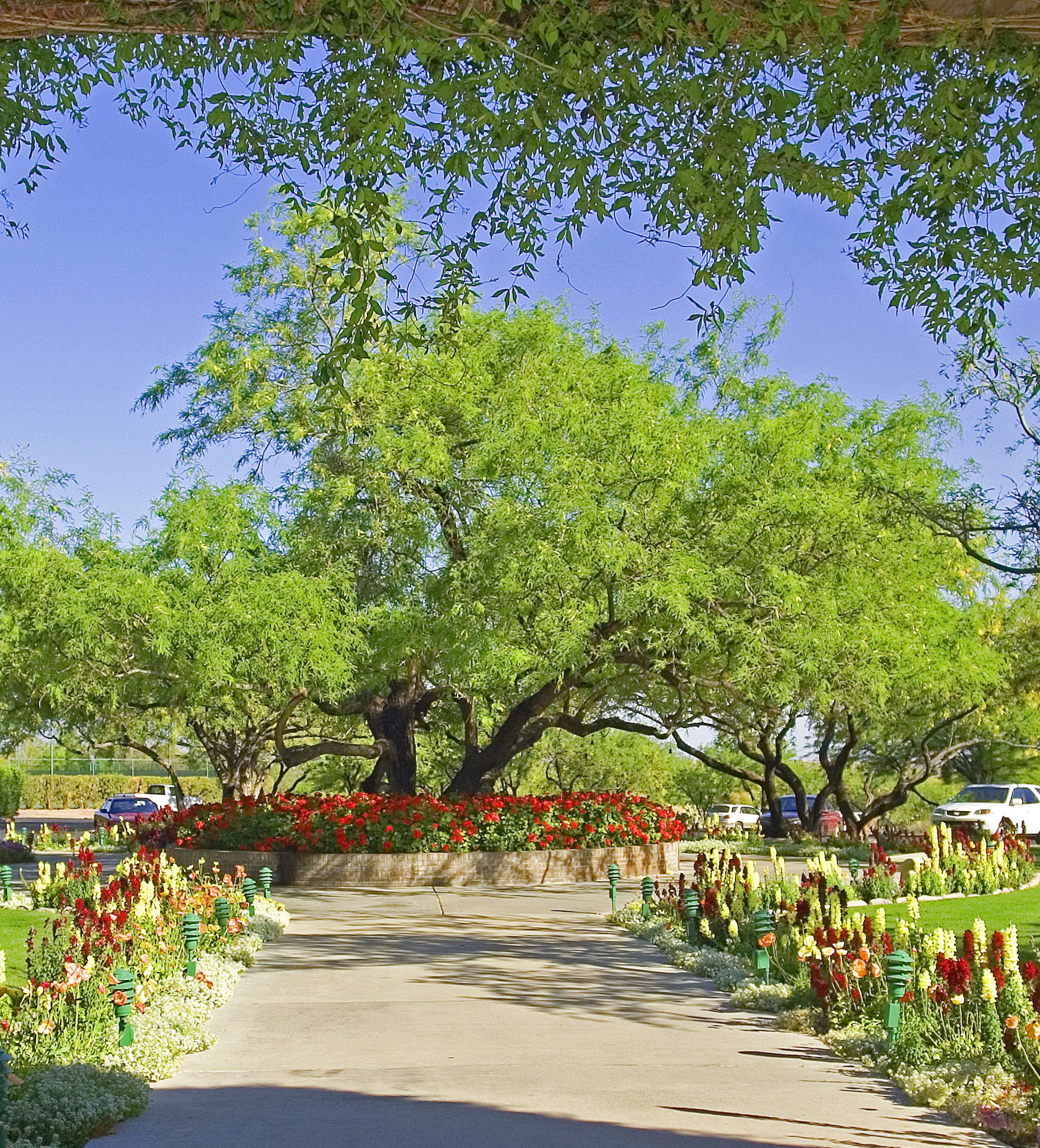 Front Entrance | The Lodge at Ventana Canyon
