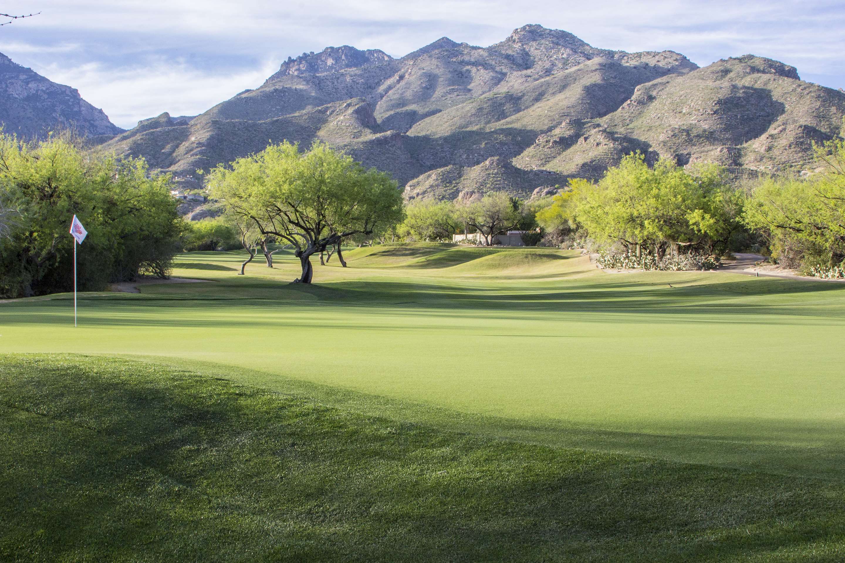 Canyon Course- 8th Hole | The Lodge at Ventana Canyon