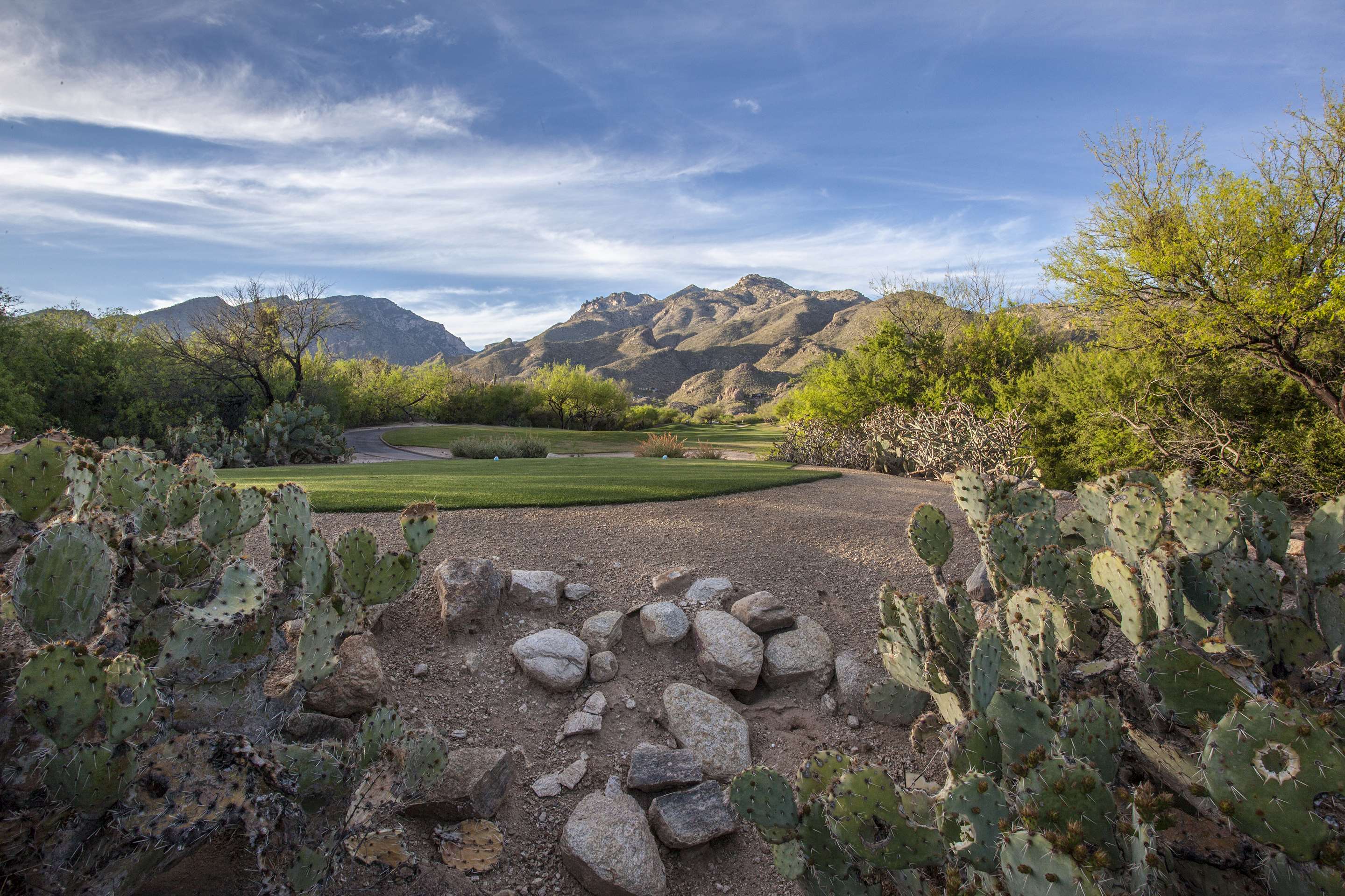 Canyon Course - 13th Hole | The Lodge at Ventana Canyon