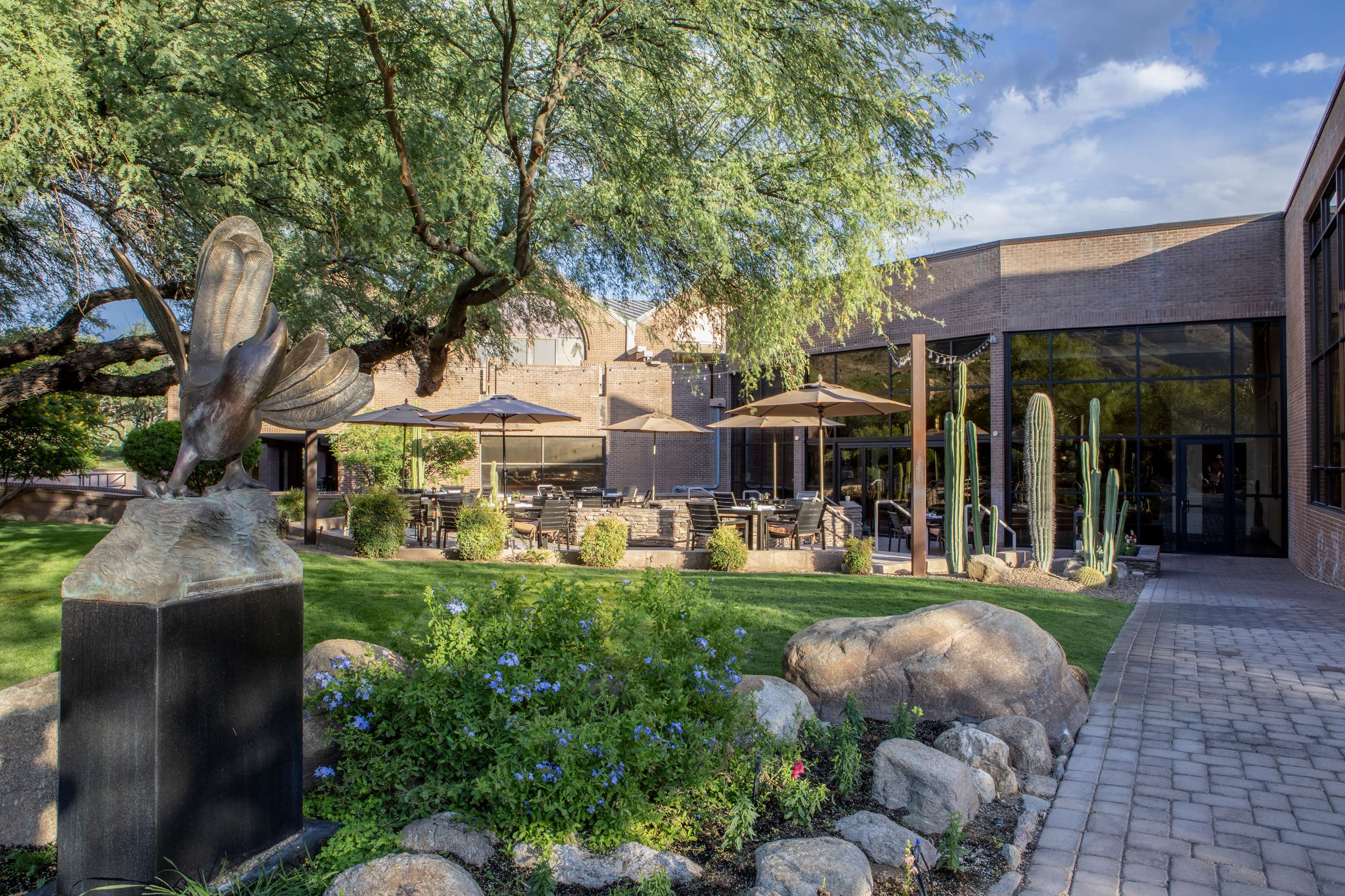 VentanaBar and GrillPatio | The Lodge at Ventana Canyon