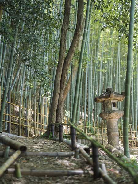 BANYAN TREE HIGASHIYAMA KYOTO - Photo 10