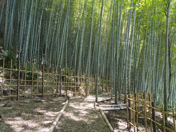 BANYAN TREE HIGASHIYAMA KYOTO - Photo 11