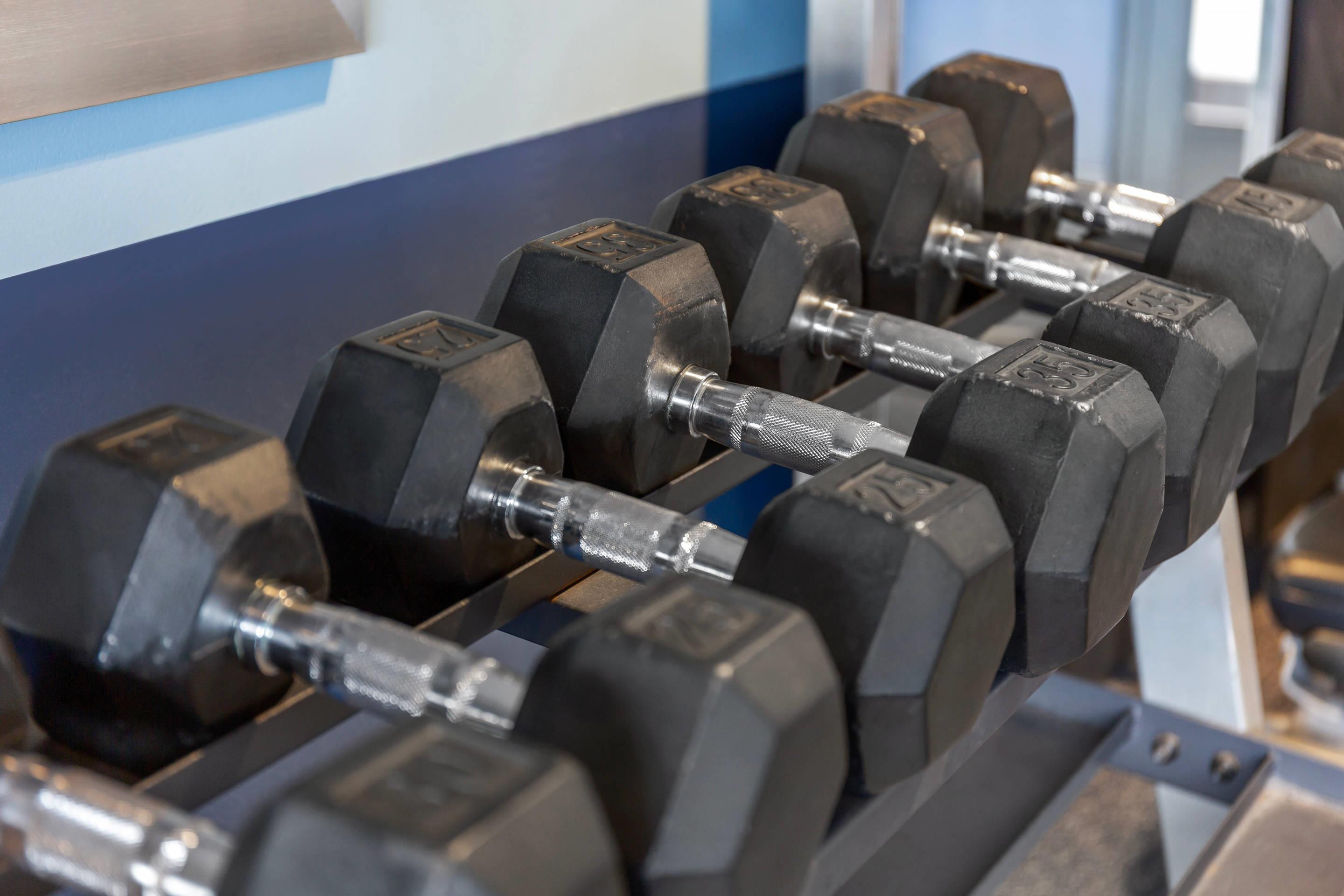 Fitness Room weights