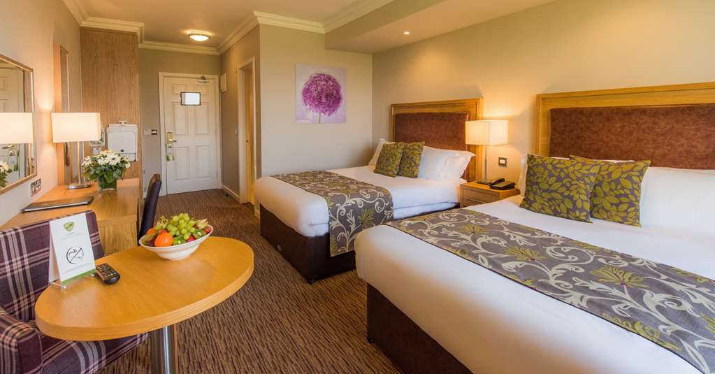 THE INN AT DROMOLAND-guestroom-Guest Room,On-Site.jpg