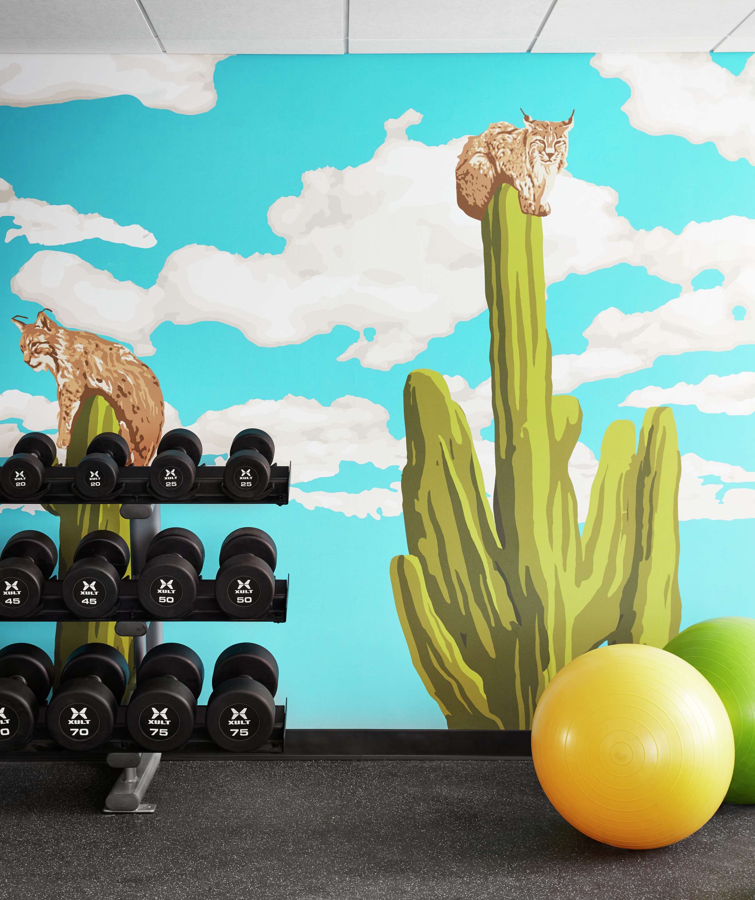 Health club fitness center gym | Graduate by Hilton Tucson