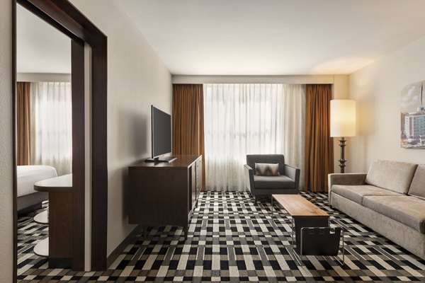2 ROOM SUITE 1 KING BED W/ SOFABED