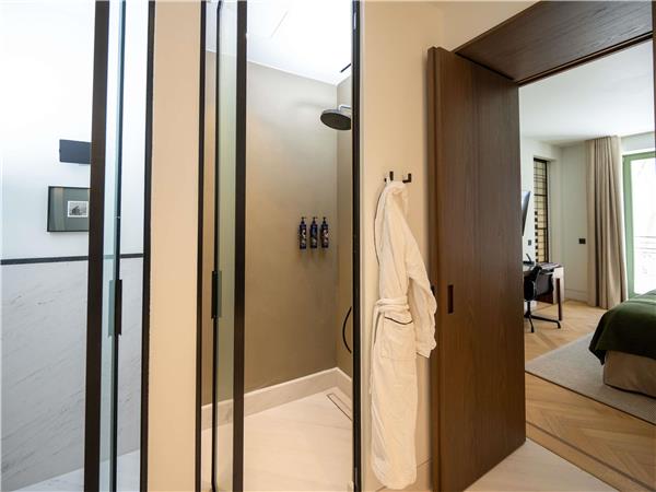 DELUXE SUITE with 1 King Bed