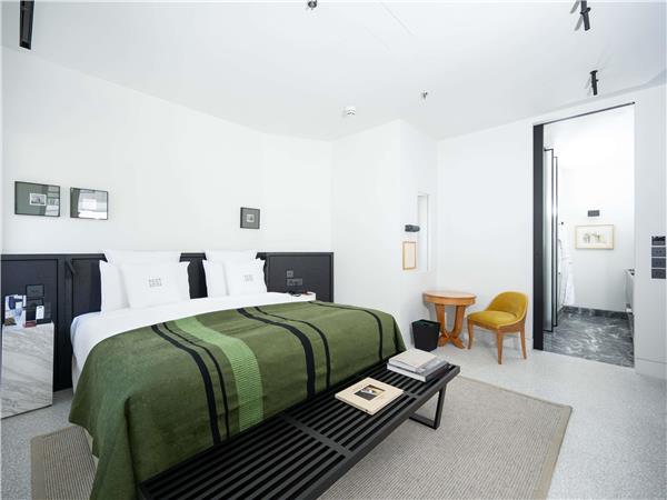 DUPLEX EXECUTIVE SUITE With 1 King and 1 double sofa bed