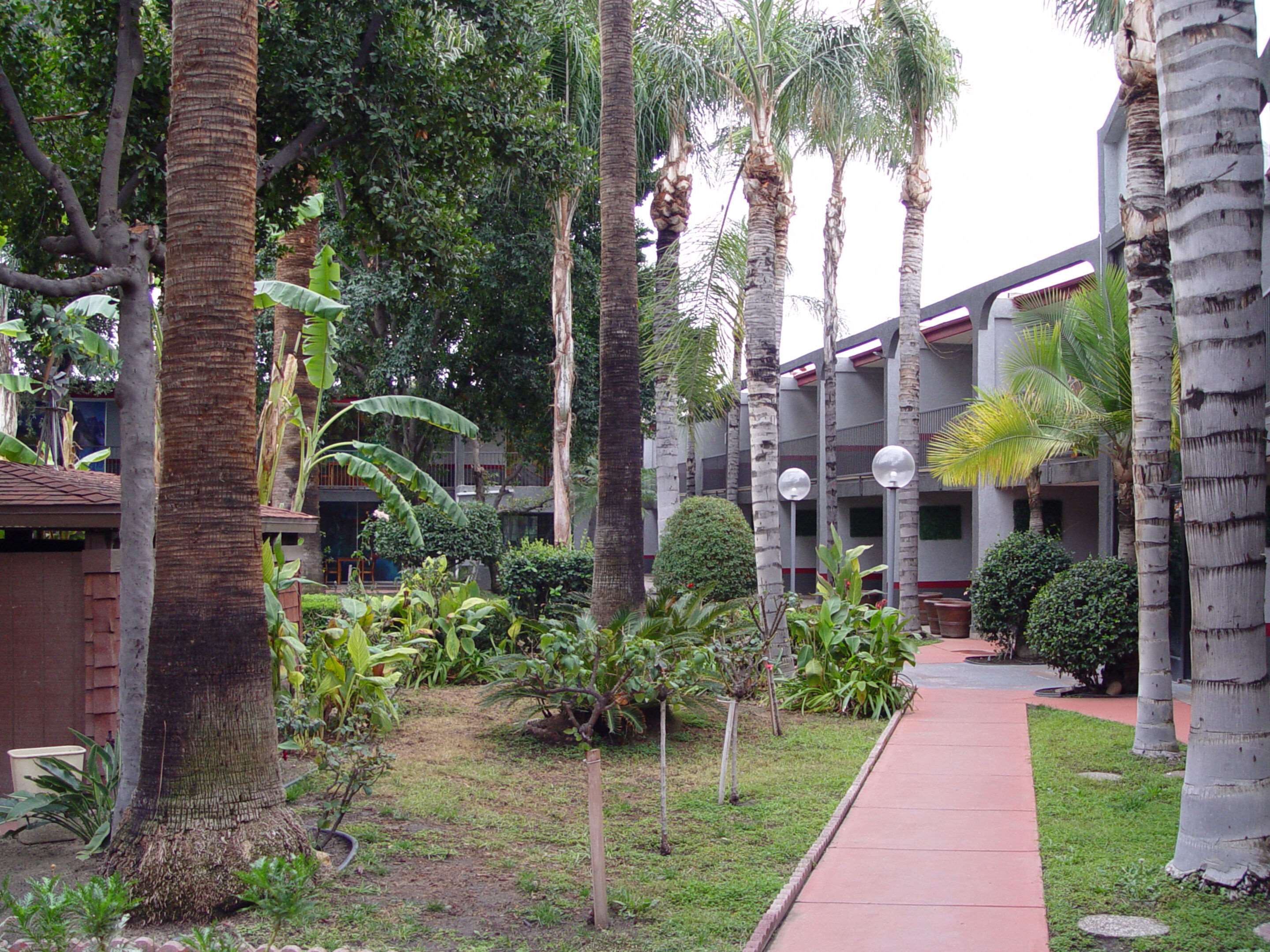 Hotel patio