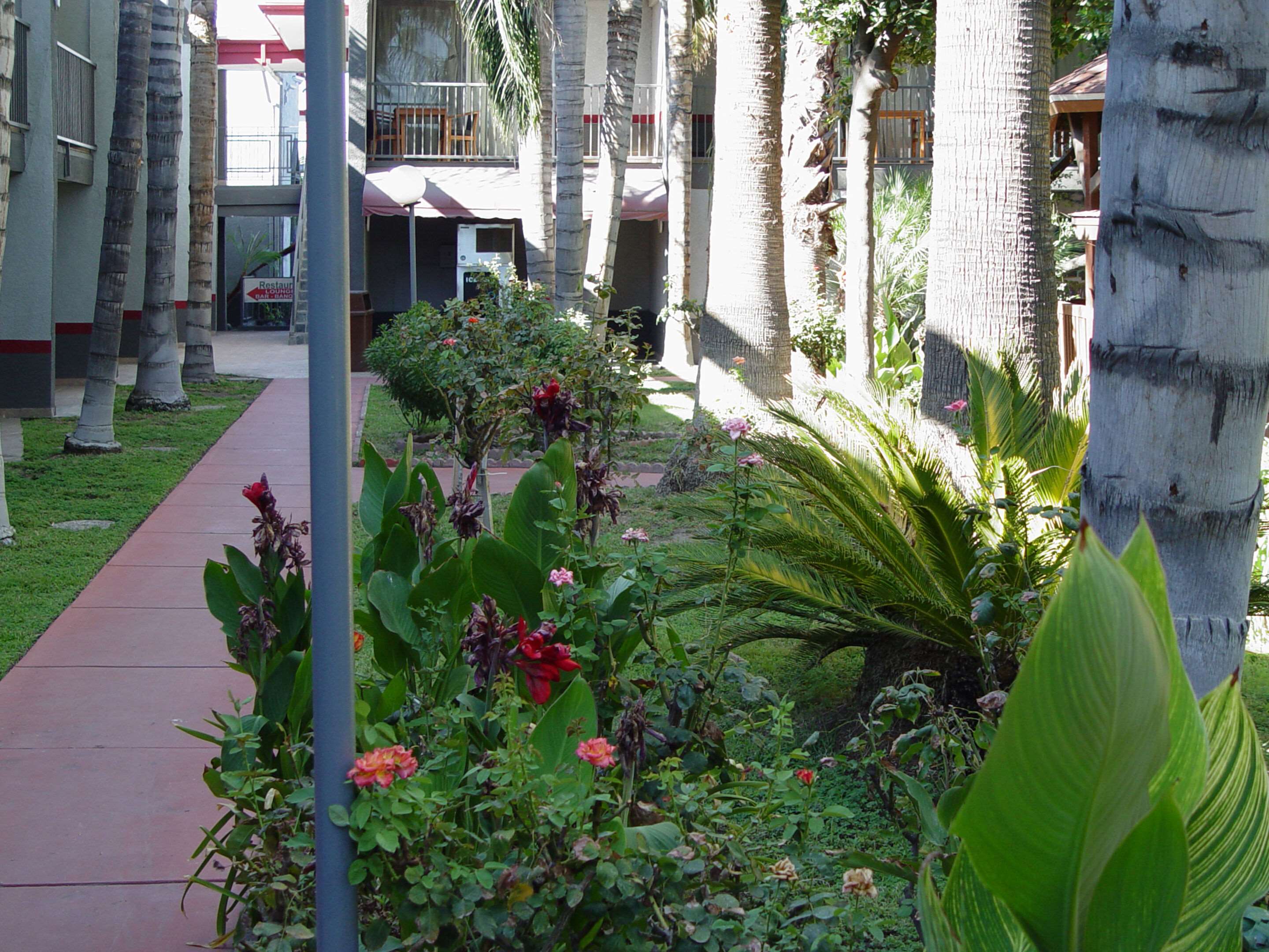 Hotel patio