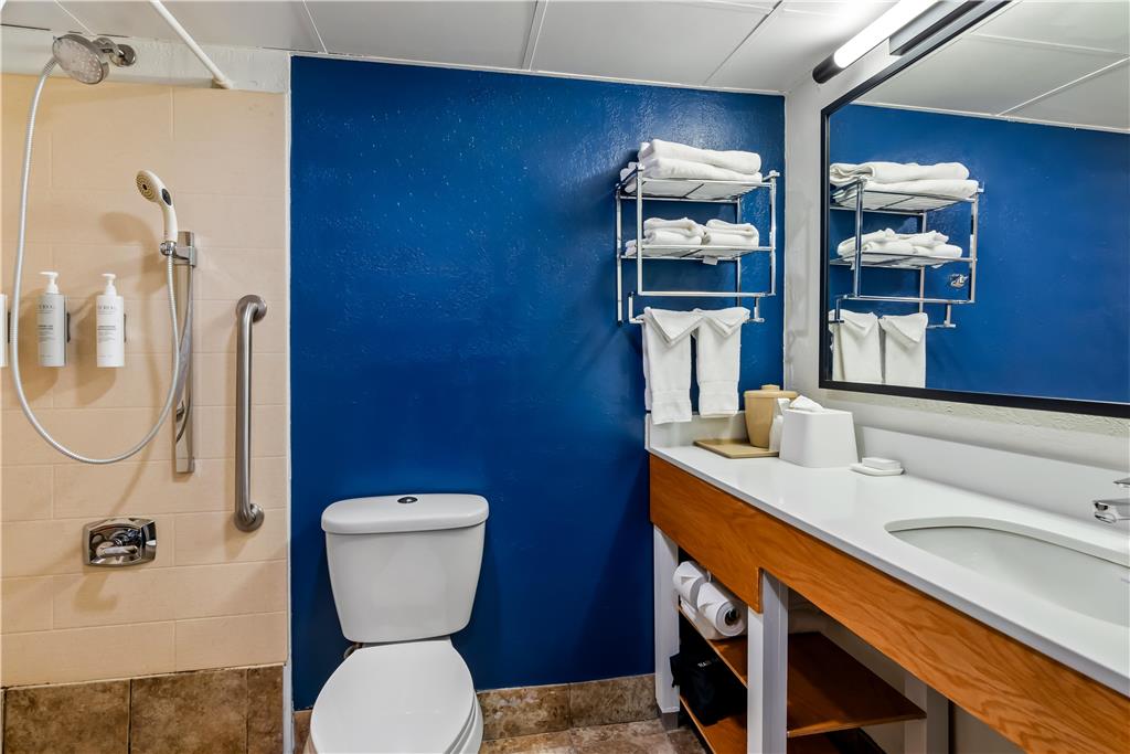 SPARK BY HILTON HOLSTON RD 1 81-guestroom-Guest Room,Bathroom,On-Site.jpg