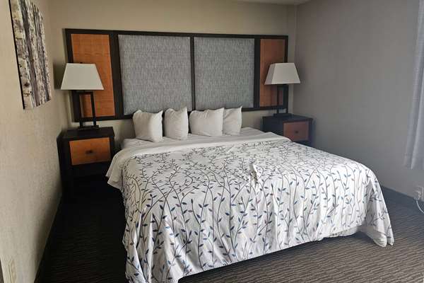 1 King Bed, Courtyard View, Non-Smoking