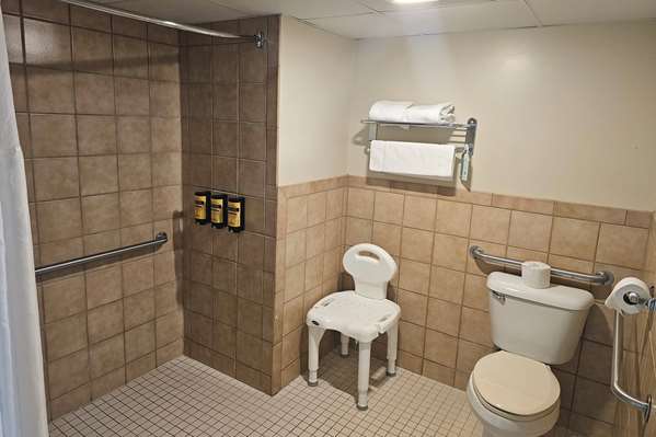 1 King Bed, Mobility Accessible Room, Roll-In Shower, Non-Smoking