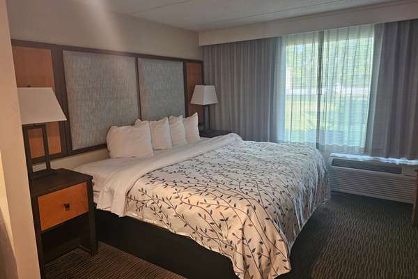 1 King Bed, Non-Smoking