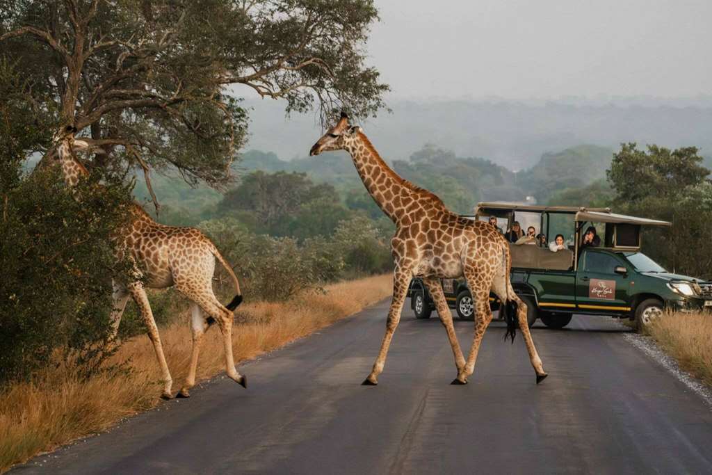 Kruger Gate Hotel