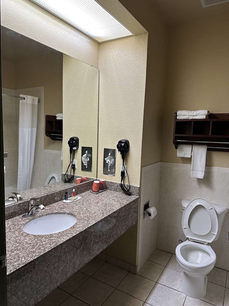 RLIS IAH AIRPORT EAST-guestroom-Guest Room,Bathroom,On-Site.jpg