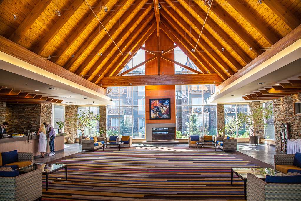 Venue gallery photo