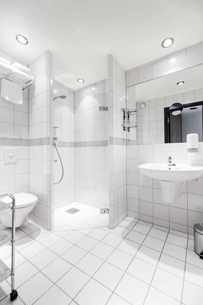 1 Double Bed, Non-Smoking, Business Room, Sofabed, Work Desk, Wi-Fi, Full Breakfast