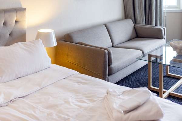 1 Double Bed, Non-Smoking, Business Room, Sofabed, Work Desk, Wi-Fi, Full Breakfast