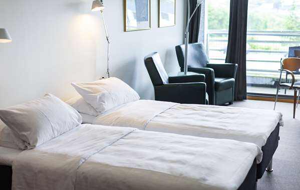 1 Double Bed, Non-Smoking, Business Room, Sofabed, Work Desk, Wi-Fi, Full Breakfast