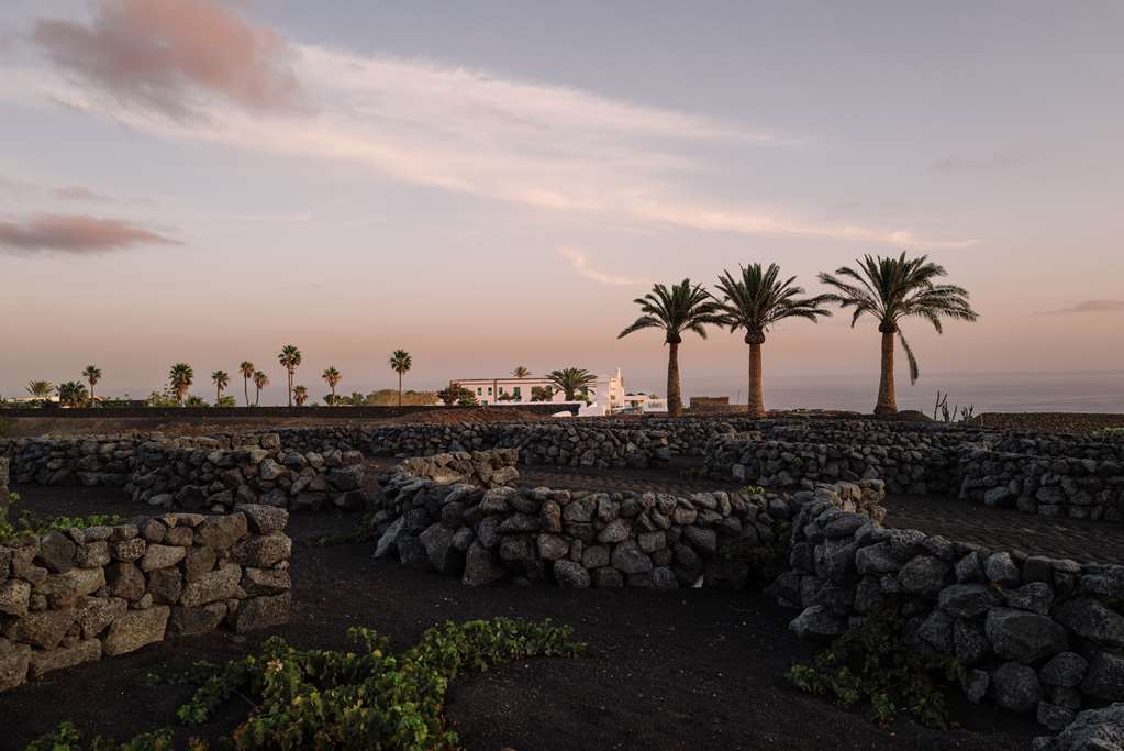 Cesar Lanzarote