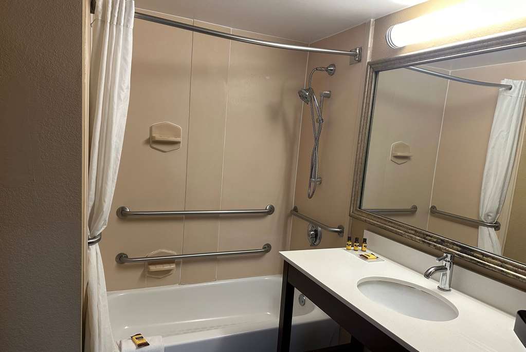 WINGATE BY WYNDHAM HARRISBURG NEAR-guestroom-Guest Room,Bathroom,Accessibility,On-Site.jpg
