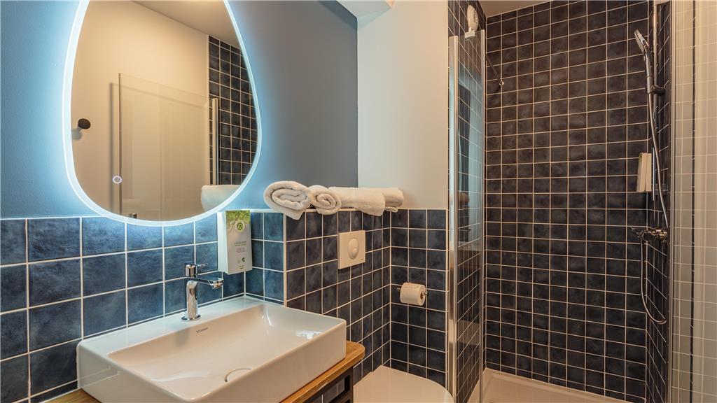 KYRIAD DAX SAINT PAUL LS DAX-guestroom-Guest Room,Bathroom,On-Site.jpg