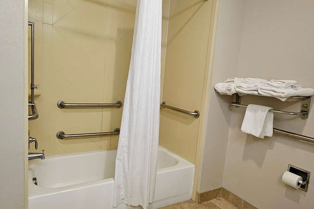 RAMADA BY WYNDHAM BURKBURNETT / WIC-guestroom-Guest Room,Bathroom,Accessibility,On-Site.jpg